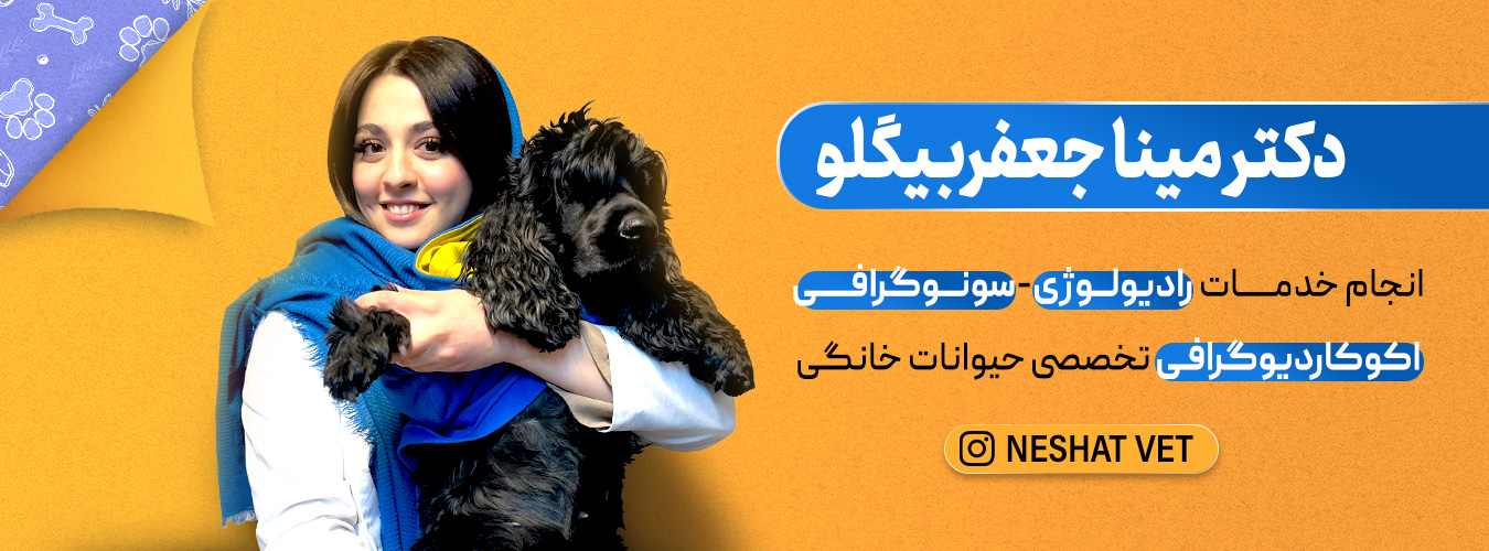 اسلایدر دوم