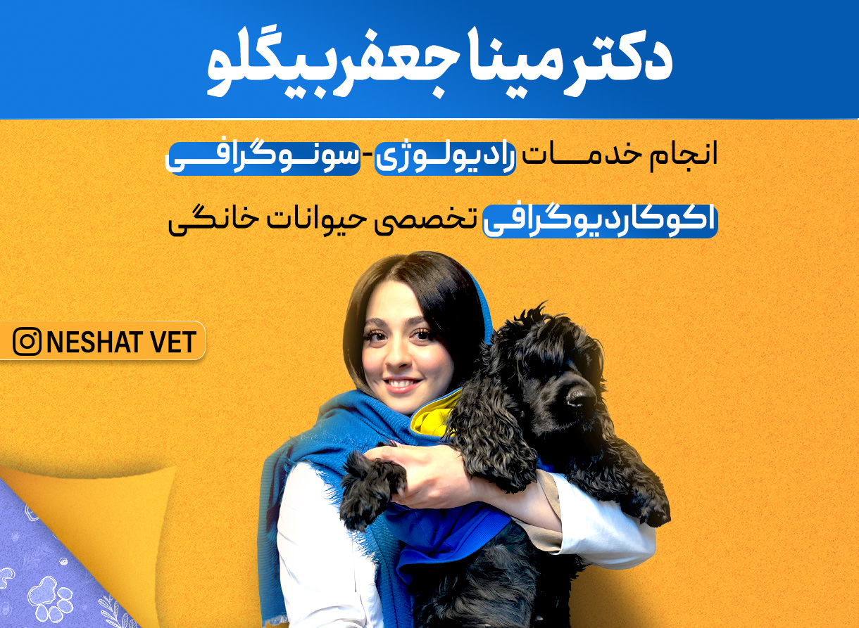 اسلایدر دوم