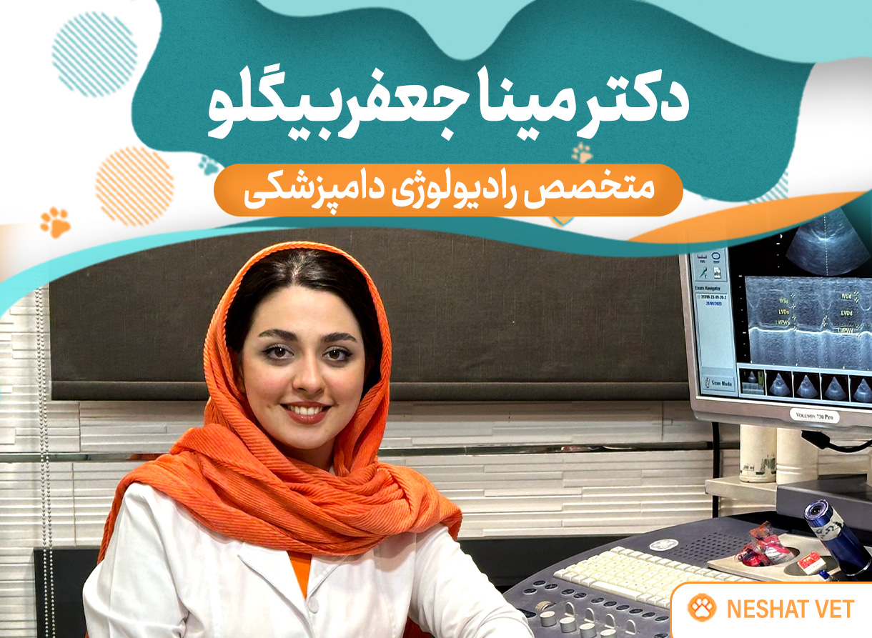 اسلایدر اول