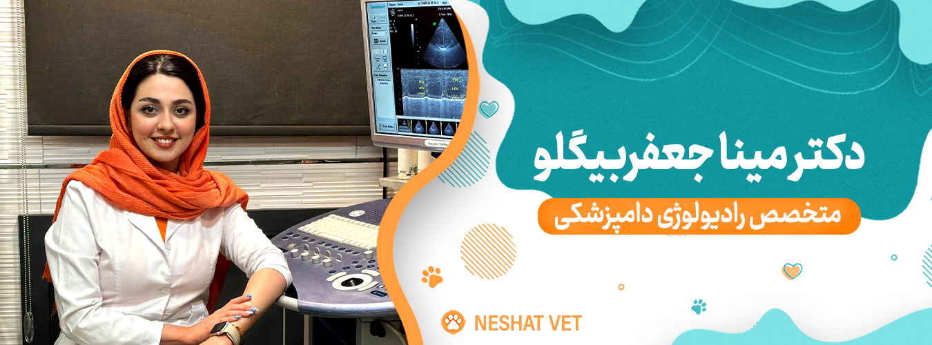 اسلایدر اول