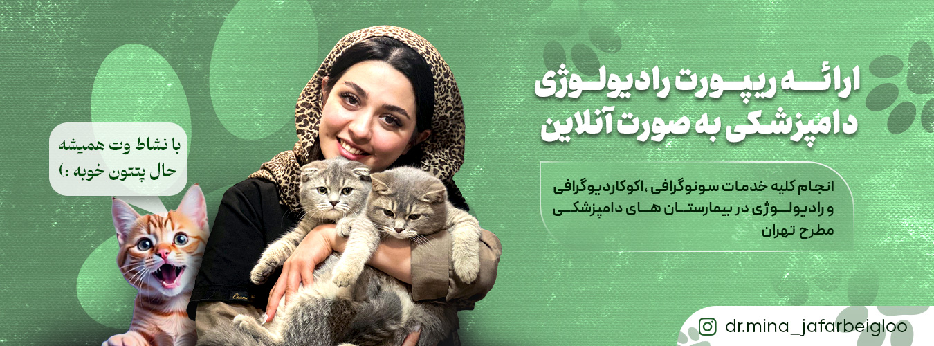 اسلایدر سوم
