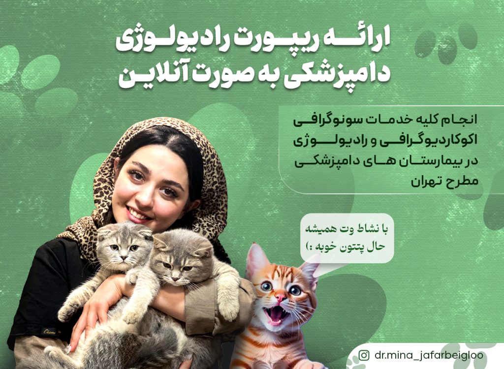 هزینه رادیوگرافی سگ و گربه | قیمت ۱۴۰۴ + تفسیر آنلاین
