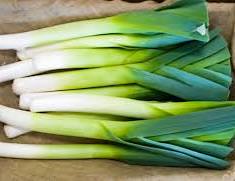 پیازچه و سیر گیاهان پرخطر برای سگ و گربه